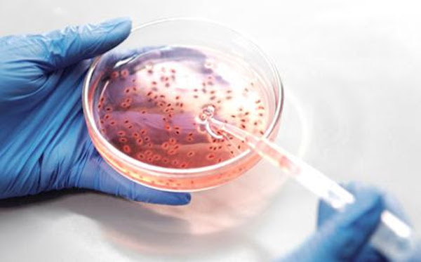 NOVAhealth Chronic Disease and Infection: Infection, Cancer and Global Health