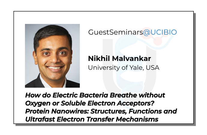 Nikhil Malvankar