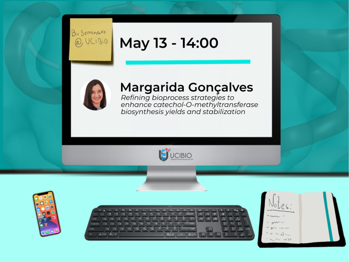 marg gonçalves