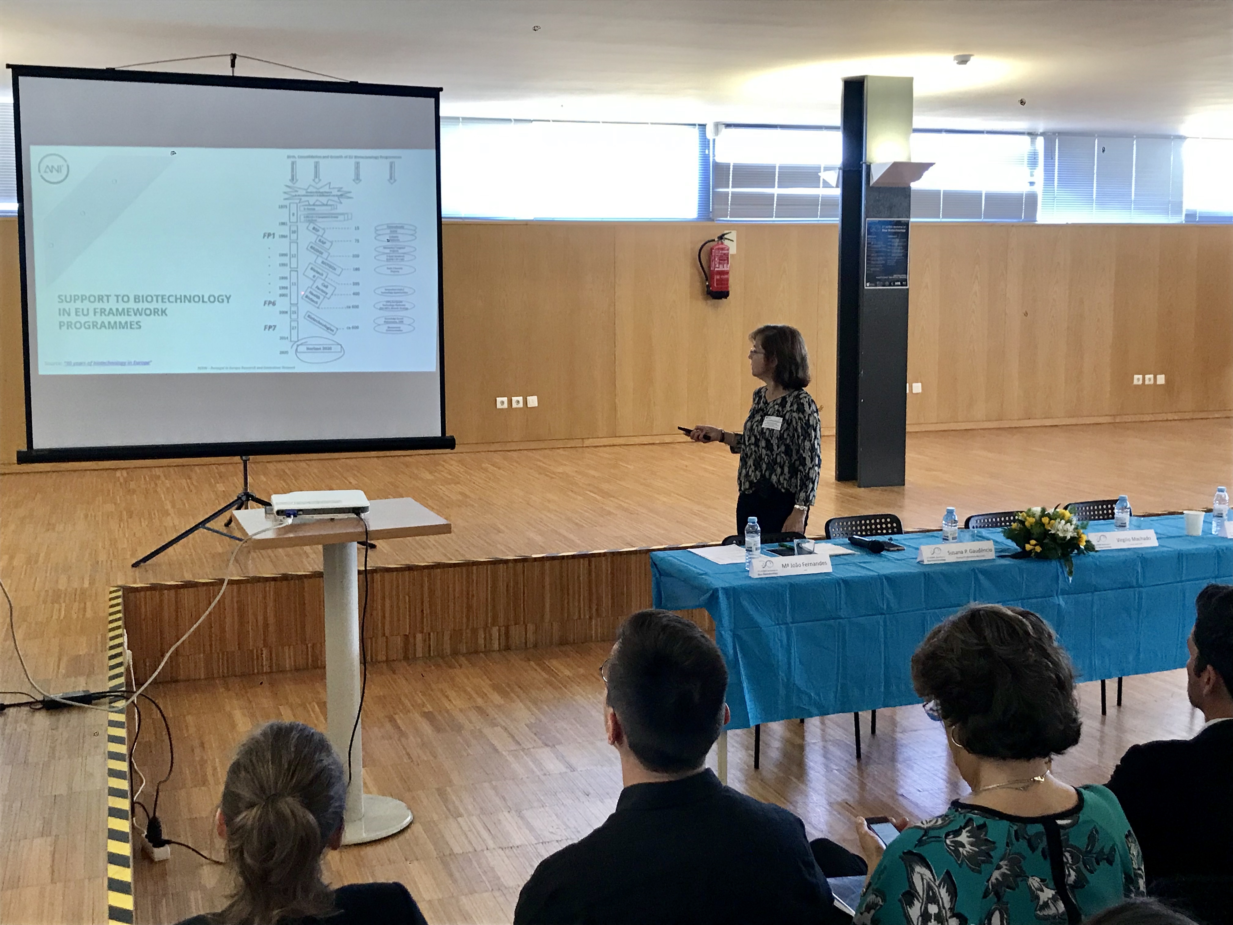 Maria João Fernandes