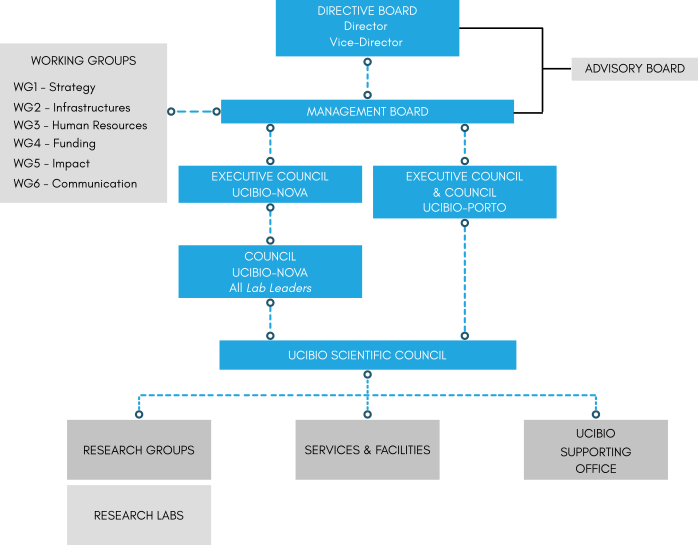 governance 2025-2029