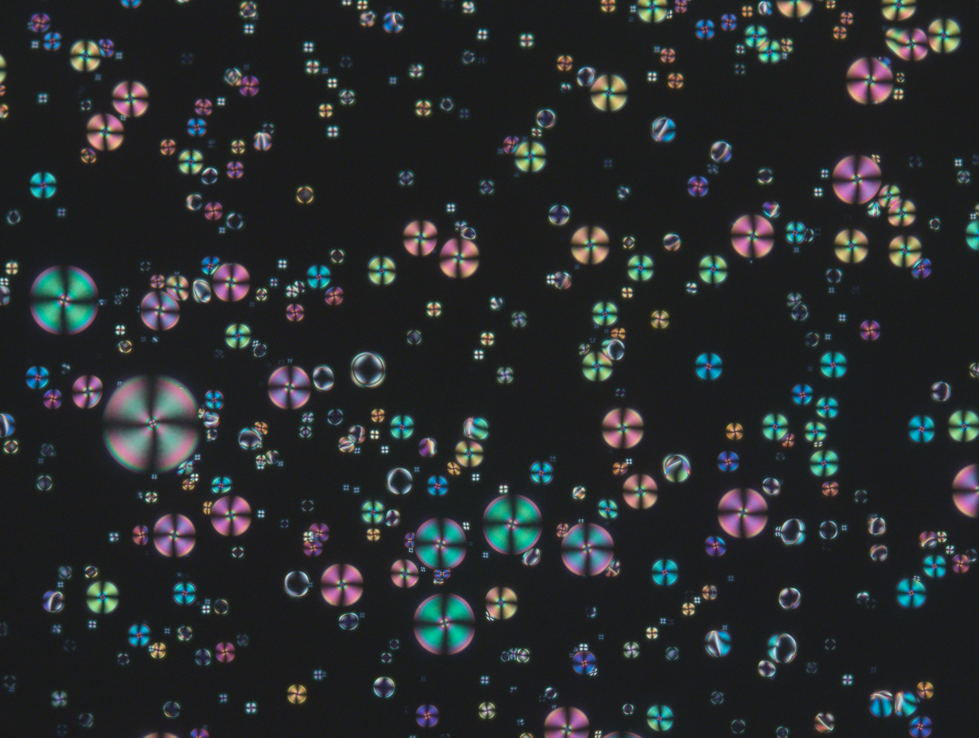 gelatin optical ionogels