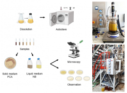 Article Filomena Freitas e Mafalda Trovão