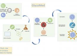 Glyco Med
