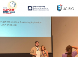 Marco Graça awarded Best Poster Award at GLUPOR 15 & GLYCOTwinning 2025