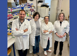 UCIBIO researchers develop method to accelerate study of major agricultural pathogen