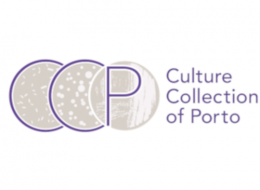 logo ccp