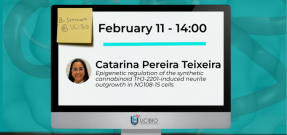 catarina pereira teixeira