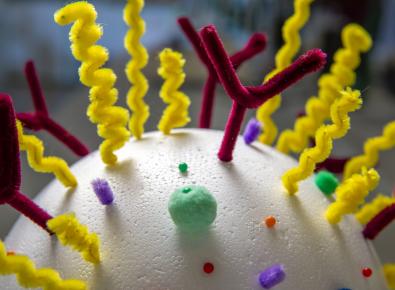 Scaled nanoparticle model