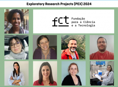 projectos exploratórios